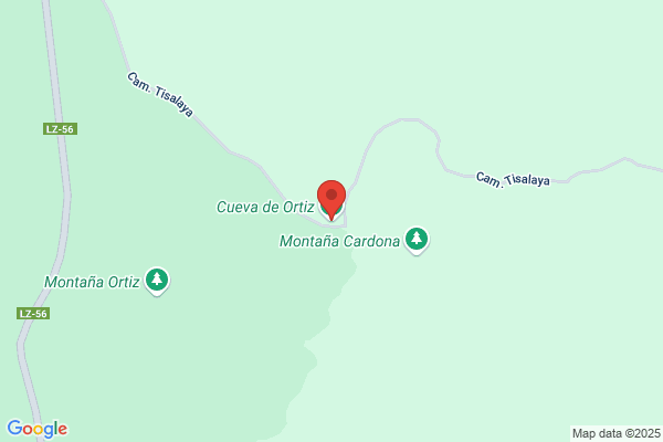 Cuevas & Ortiz PA