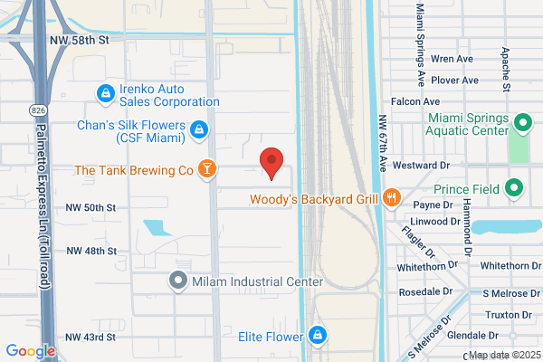 Miami Film Connection