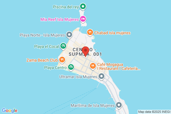 El Palmar Cafe Corporation