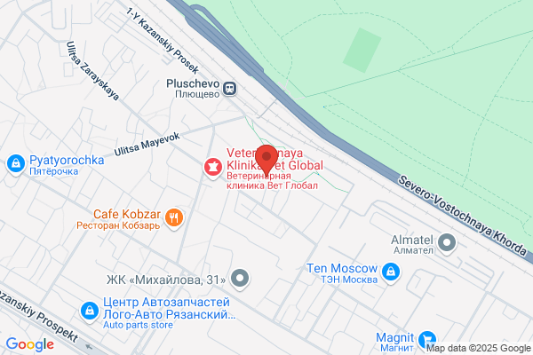 Dental Services Plus