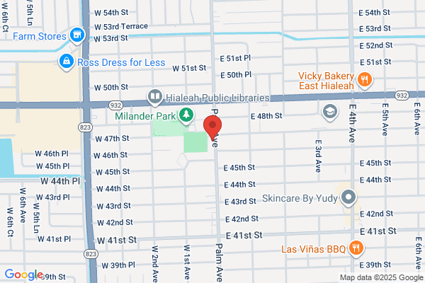 Dolphin Bar & Lounge