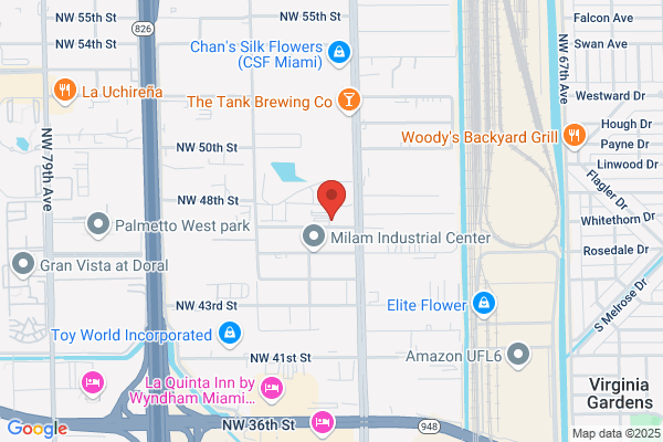 Eagle International Used Auto