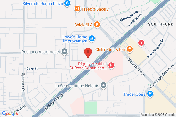 Salon Las Vegas Inc