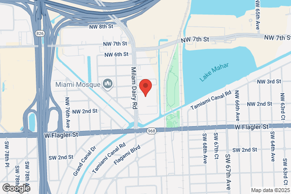 Bee N BB Removal Miami