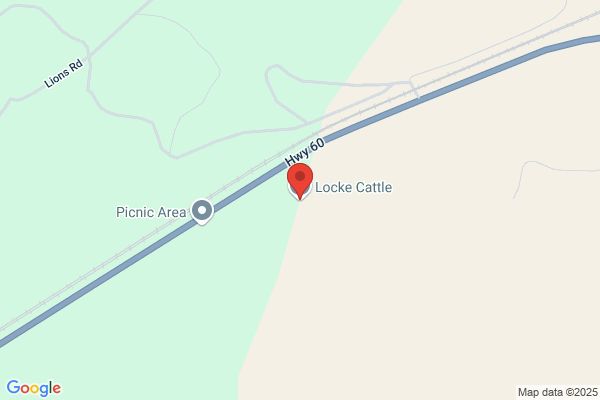 Locke Cattle Co