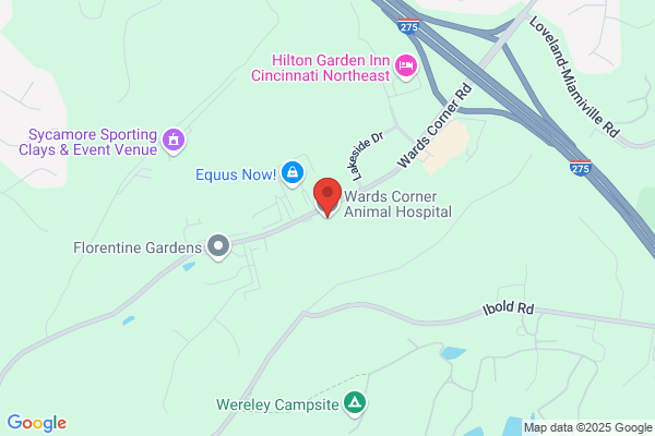 Wards Corner Animal Hospital