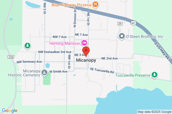 Micanopy Canopy