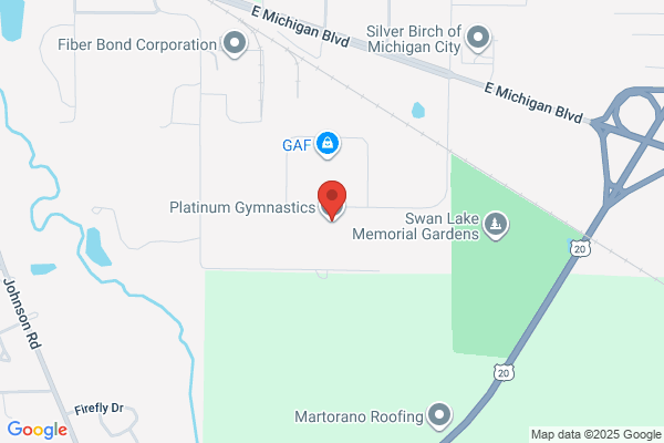 Platinum Gymnastics Llc