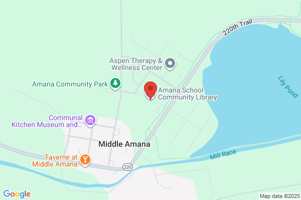 Amana School Community Library