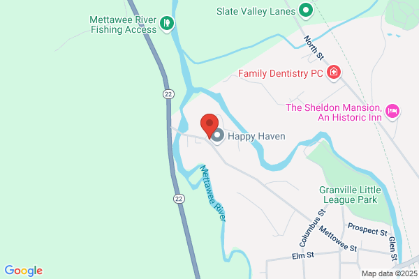 Mettowee Valley Speech Services