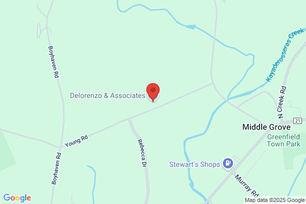 Delorenzo & Associates Inc.