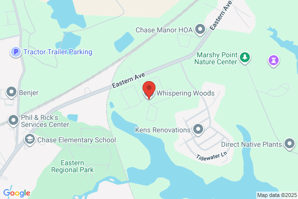 Whispering Woods