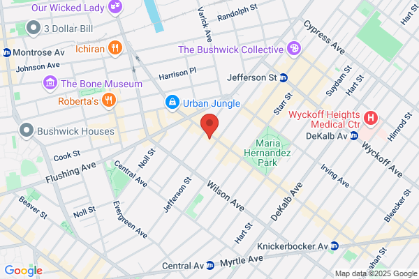 Bushwick Auto Repair