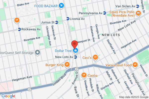 Lil Joe's Deli & Convenient Store Llc