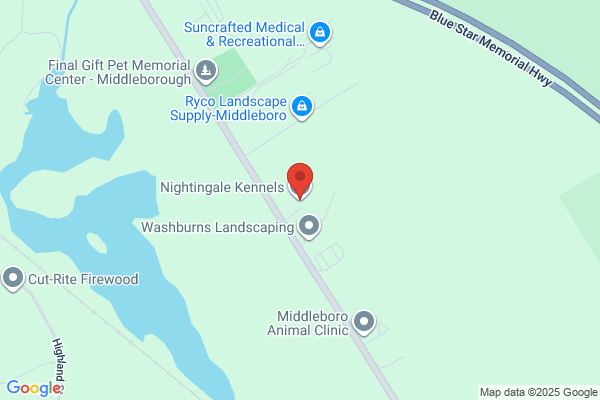 Nightingale Kennels