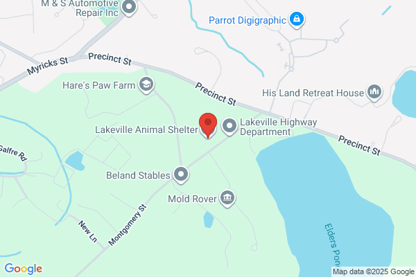 Lakeville Animal Shelter