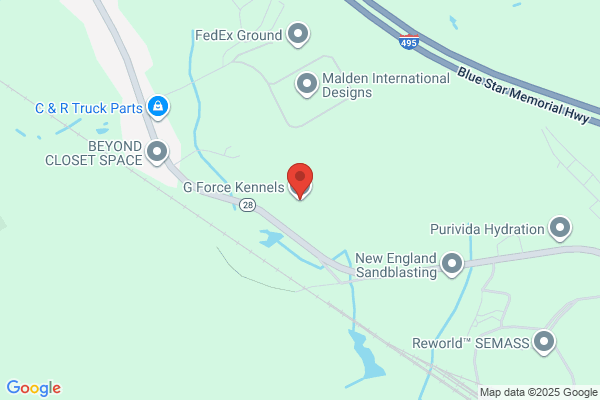 G Force Kennels