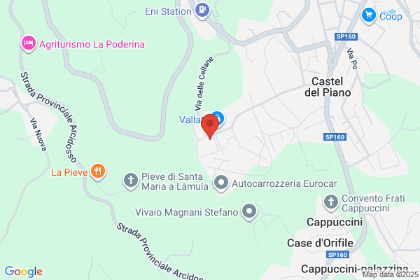 Corsini Auto Parts
