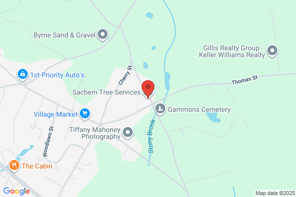 Sachem Realty