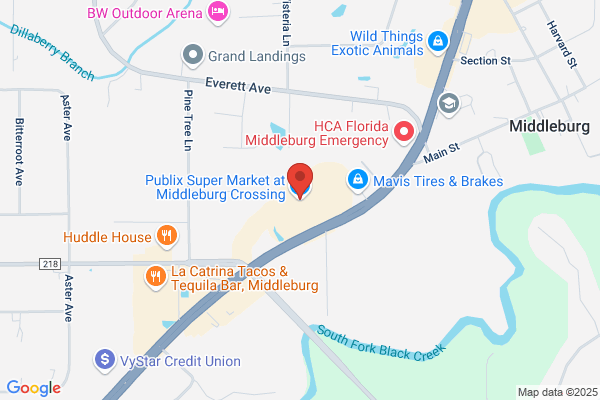 Publix Super Market at Middleburg Crossing