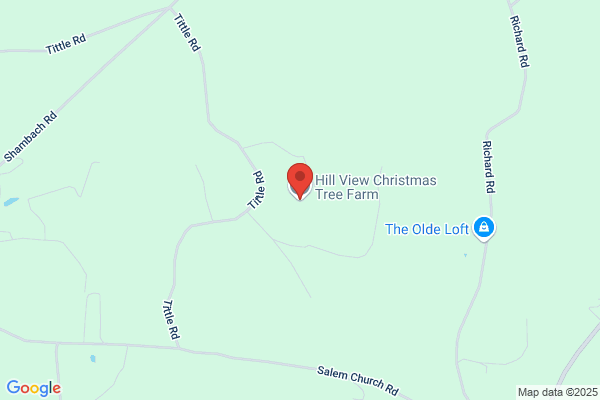 Hill View Tree Farm