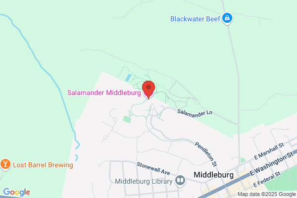 Salamander Resort & Spa