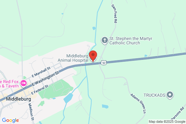 Middleburg Animal Hospital