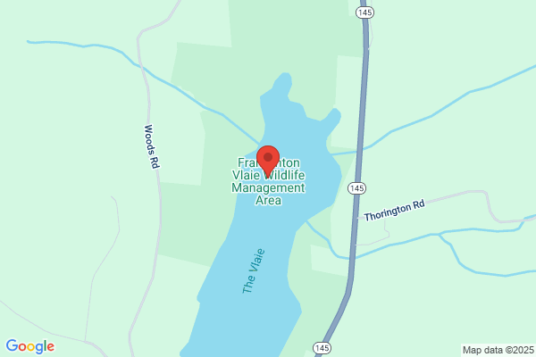 Vlaie Pond Flower Farm