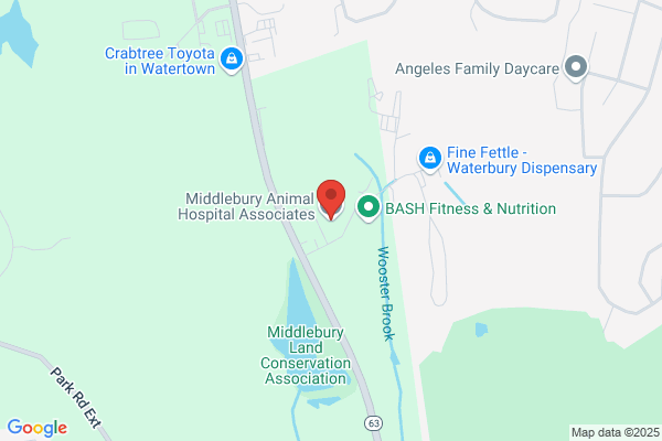 Middlebury Animal Hospital