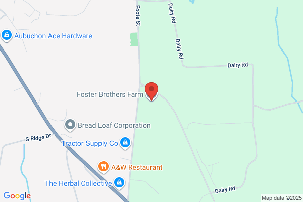 Foster Motors Inc