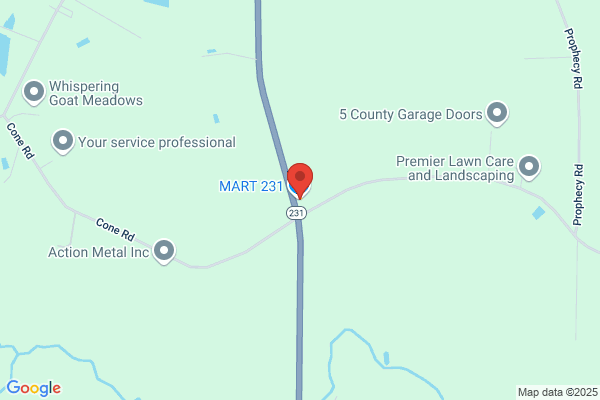 Matthews Food Mart