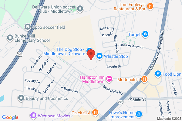 Cannon Mechanical Services Inc