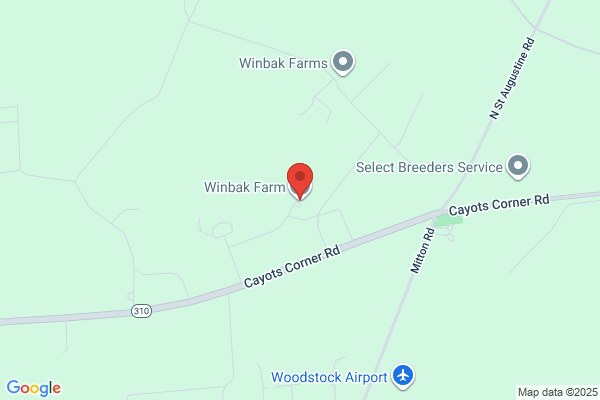 Winbak Farm of De Llc