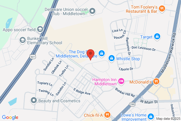Honig Orthodontics