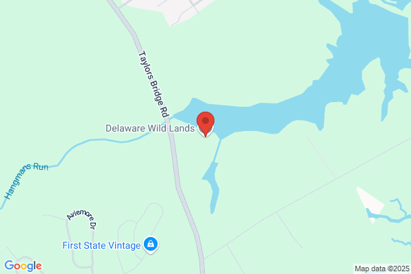 Delaware Wild Lands Inc