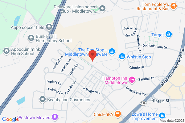 Rob N Caruso