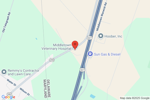 Middletown Veterinary Service