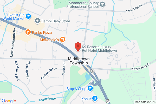 K9 Resorts Luxury Pet Hotel Middletown