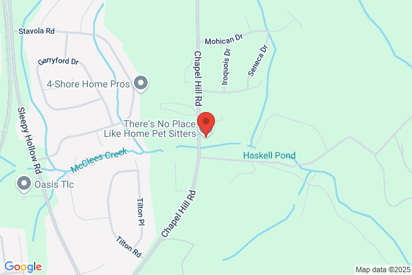 There's No Place Like Home Pet Sitters