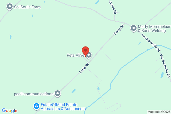Pets Alive Inc