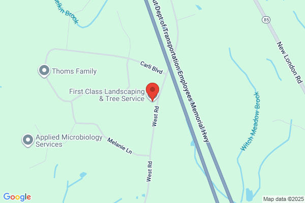 First Class Tree Service & Lawn Care