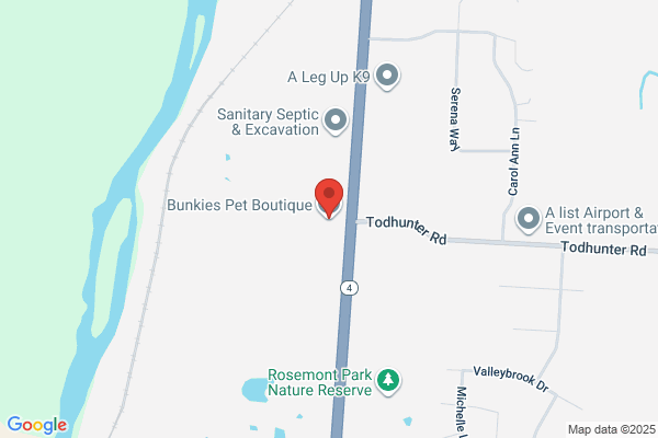 Bunkies Pet Boutique