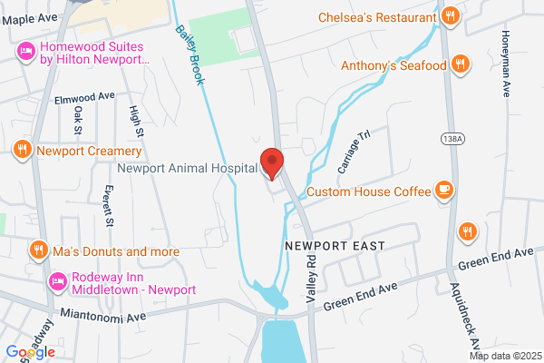Knapp Chiropractic