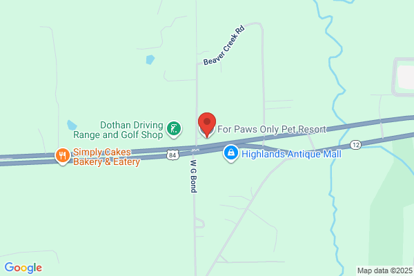 For Paws Only Pet Resort Inc
