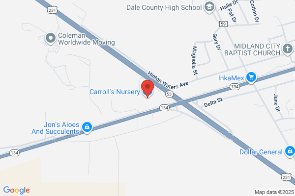 Carrolls Nursery Llc