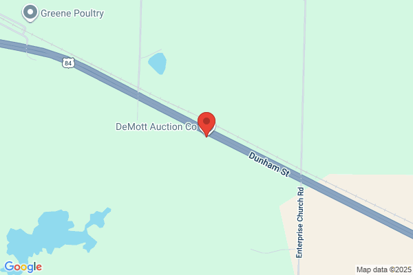 Demott Auction