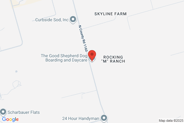Good Shepherd Pet Sitting Services