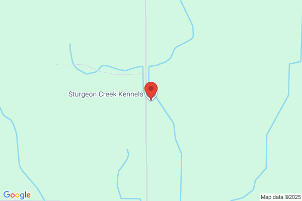 Kiesel Creek Kennels