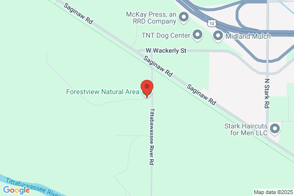 Forest View Golf Center