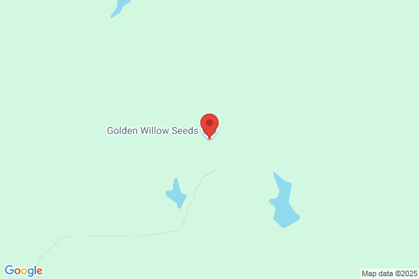Golden Willow Seeds Inc